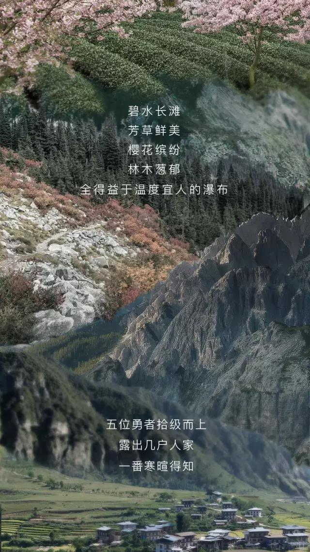 SAKURAŷABGE98ѹȼˮ