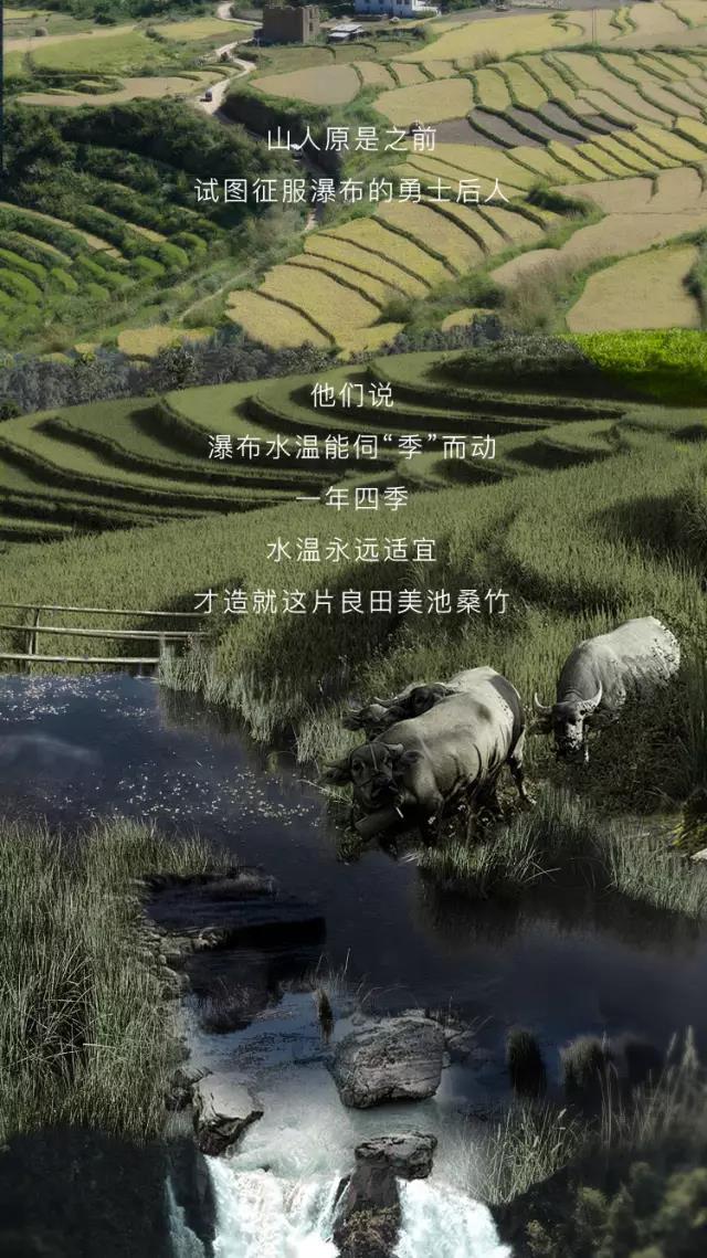 SAKURAŷABGE98ѹȼˮ