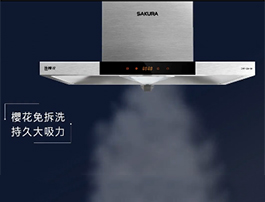 ˣûѡNO.1   SAKURAŷABG̻ЭǺ